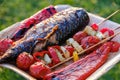 Grilled vegetable skewers and fish of mackerel in a herb marinade on a plate, onion, pepper zucchini tomato roasted barbecue Royalty Free Stock Photo