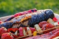 Grilled vegetable skewers and fish of mackerel in a herb marinade on a plate, onion, pepper zucchini tomato roasted barbecue Royalty Free Stock Photo