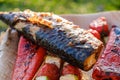 Grilled vegetable skewers and fish of mackerel in a herb marinade on a plate, onion, pepper zucchini tomato roasted barbecue Royalty Free Stock Photo