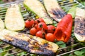 Grilled vegetable skewers in a herb marinade on a grill pan Royalty Free Stock Photo