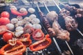 Grilled vegetables, chicken and pork meat on the open fire. Onions, mushrooms, tomatoes and red pepper on the grill grate. Royalty Free Stock Photo