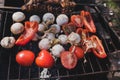Grilled vegetables, chicken and pork meat on the open fire. Onions, mushrooms, tomatoes and red pepper on the grill grate. Royalty Free Stock Photo