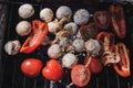 Grilled vegetables, chicken and pork meat on the open fire. Onions, mushrooms, tomatoes and red pepper on the grill grate. Royalty Free Stock Photo