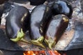 Cooking outdoor fire roasted eggplant