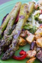 Grilled vegetables on plate closeup asparagus and onions potatoes