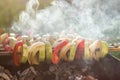 Grilled vegetables, zucchini, onions and red pepper, with lots o Royalty Free Stock Photo