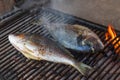 Grilled whole fish. Grill and open fire