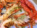 Grilled whole lobster with garlic and butter Royalty Free Stock Photo