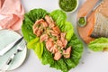 Grilled wild salmon and lettuce dish with green pesto, top view Royalty Free Stock Photo