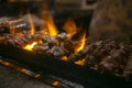 Grilled yakitori chicken skewers at an Izakaya restaurant in Omoide Yokocho street in the Shinjuku district of Tokyo..