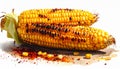 Grilled Yellow Corn on the Cob with Husk, Isolated on White Background, Charred Kernels, and Red Spices Royalty Free Stock Photo