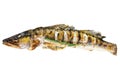 Grilled Zander, walleye fish with herbs and lemon Isolated on white background. Top view.