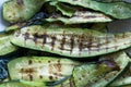 Grilled zucchini Royalty Free Stock Photo