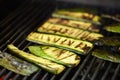 Grilled zucchini Royalty Free Stock Photo