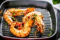 Grillen tiger prawns in iron man with lemon