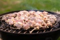 Grilling barbecue meet on the grill outdoors in the back yard. Summer time picnic. Roasting meat on metal grid on hot coals. Smoke