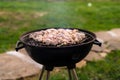 Grilling barbecue meet on the grill outdoors in the back yard. Summer time picnic. Roasting meat on metal grid on hot coals. Smoke Royalty Free Stock Photo