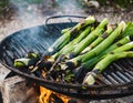 Grilling calÃÂ§ots, traditional Catalan delicacy, open flame cooking Royalty Free Stock Photo