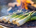 Grilling calÃÂ§ots, traditional Catalan delicacy, open flame cooking Royalty Free Stock Photo