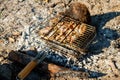 Grilling catfish slices in portable barbecue grill on campfire