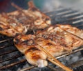 Grilling chicken Royalty Free Stock Photo