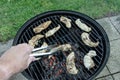 Grilling Chicken Royalty Free Stock Photo