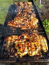 Grilling chicken meat on the barbecue charcoal grill in the garden on sunny day