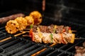 Grilling chicken skewers and corn on a barbecue Royalty Free Stock Photo