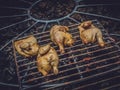 Grilling chicken on volcanic hot steam Royalty Free Stock Photo