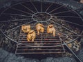 Grilling chicken on volcanic hot steam Royalty Free Stock Photo