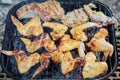 Grilling chicken wings on barbecue grill. Royalty Free Stock Photo