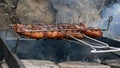 Grilling chicken wings on barbecue grill with fire flames and smoke. Selective focus. Summer food. Ideas for barbecue, grill party Royalty Free Stock Photo