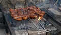 Grilling chicken wings on barbecue grill with fire flames and smoke. Selective focus. Summer food. Ideas for barbecue, grill party Royalty Free Stock Photo