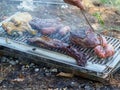 slow grilling chorizo sausages , chicken quarters, skirt and flank muscle steaks argentinian cuts Royalty Free Stock Photo