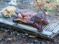 slow grilling chorizo sausages , chicken quarters, skirt and flank muscle steaks argentinian cuts Royalty Free Stock Photo