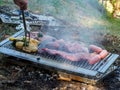 slow grilling chorizo sausages , chicken quarters, skirt and flank muscle steaks argentinian cuts Royalty Free Stock Photo