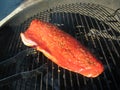 Grilling Copper River Salmon