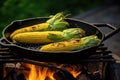 grilling corn on the cob in a cast iron pan on a bbq