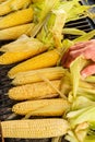 Grilling Corn on the Cob