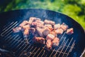 Grilling delicious variety of meat on barbecue charcoal grill. Royalty Free Stock Photo