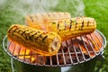 Grilling fresh corn on grid