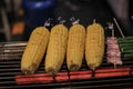 Grilling fresh corn on hot grid grill in restaurant. Street seller roasting sweet corn on a coal grill.