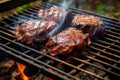 grilling kangaroo steaks on a smoky barbecue
