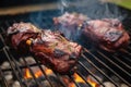 grilling kangaroo steaks on a smoky barbecue