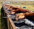 Grilling kids on a slow fire for popular food Royalty Free Stock Photo