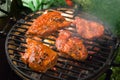 Grilling marinated meat Royalty Free Stock Photo