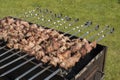 Grilling marinated meat on a brazier. Royalty Free Stock Photo