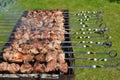Grilling marinated meat on a brazier. Royalty Free Stock Photo