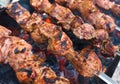 Grilling marinated meat on a grill Royalty Free Stock Photo