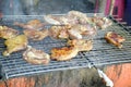 Grilling marinated meat on stove Royalty Free Stock Photo